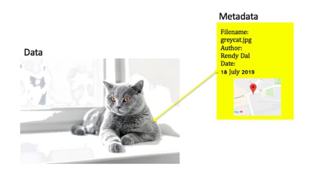 Image of data and the metadata of that data